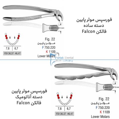 خرید و قیمت فورسپس مولر پایین فالکن Falcon
