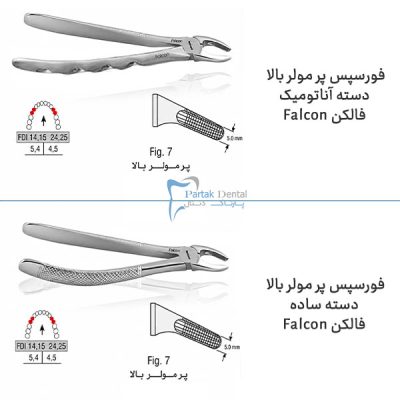 خرید و قیمت فورسپس پرمولر بالا فالکن
